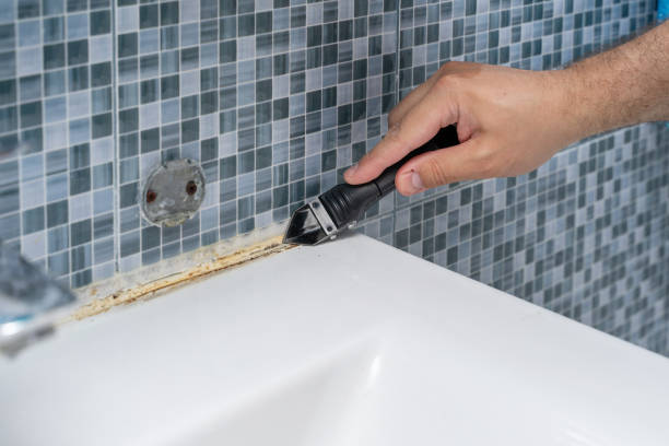Best Office Mold Removal Services  in Clintondale, NY
